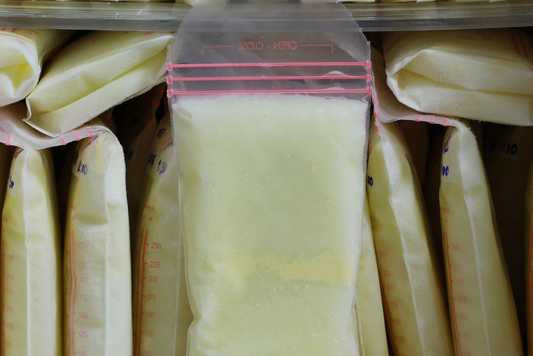 frozen bricks of breast milk