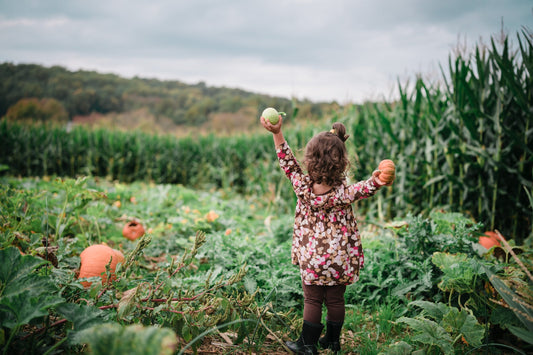 "Child holding fruit in a pumpkin patch on a farm