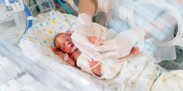 Premature newborn lying in an incubator while a medical professional wearing gloves provides care
