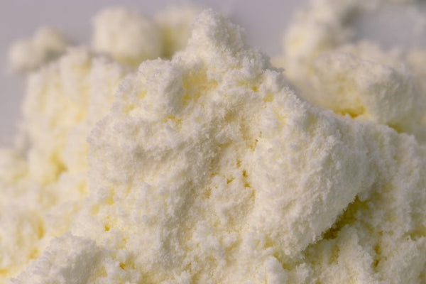 Close-up of freeze-dried breast milk powder texture, preserved human milk for convenient infant feeding and storage, Milk by Mom breast milk freeze-drying service