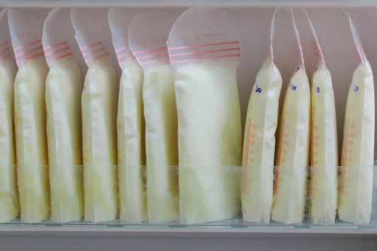Storage bags filled with breast milk neatly lined up in a freezer compartment