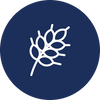 Navy blue circular icon with a white symbol of wheat, representing the natural preservation of nutrients in breast milk through freeze-drying, maintaining vital components like carbohydrates and fiber